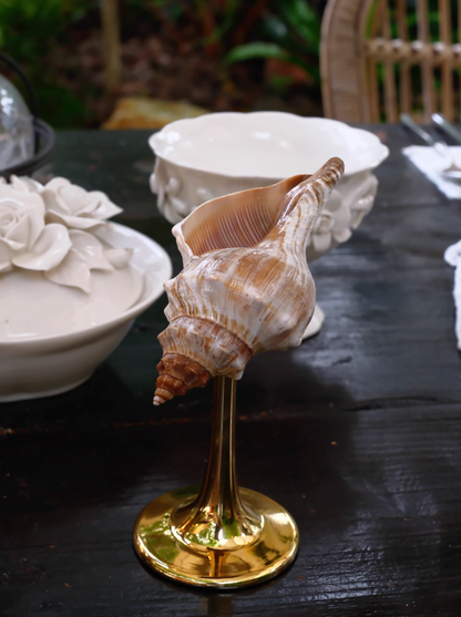 Conch Cocktail Glass - Gold Stem