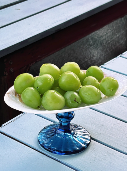 French Pearl Shell Dish Tray