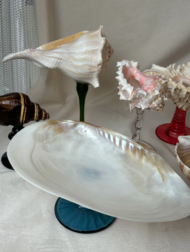 French Pearl Shell Dish Tray