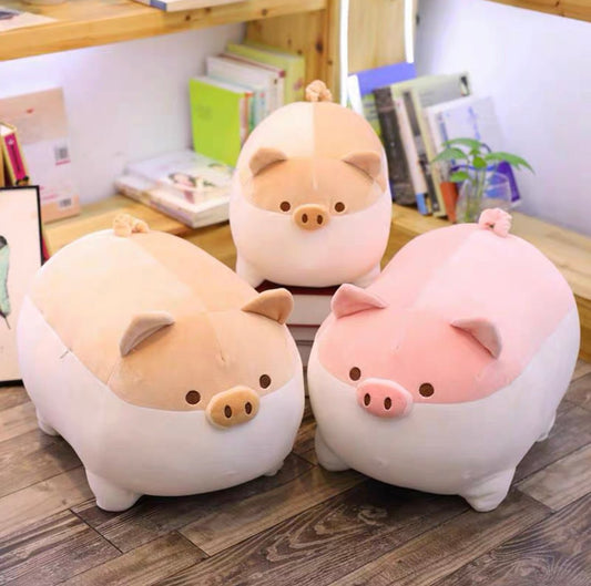 Chubby Pigs Plushies - Bundle