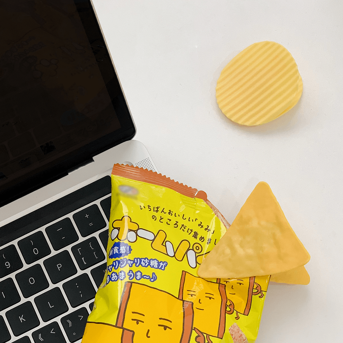 Potato Chip Snack Sealing Clips - Rumi Living